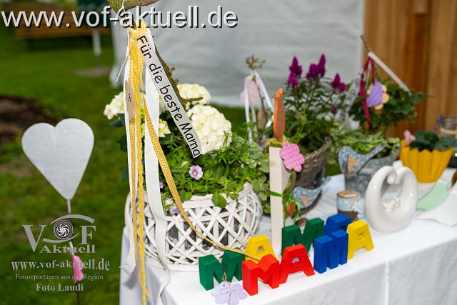 A-Foto Laudi -104502.jpg