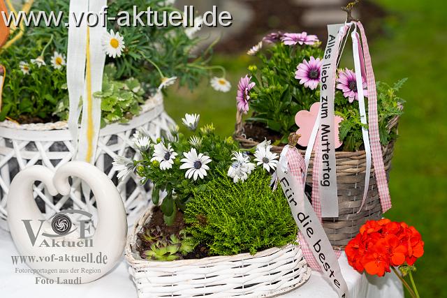 A-Foto Laudi -104504.jpg
